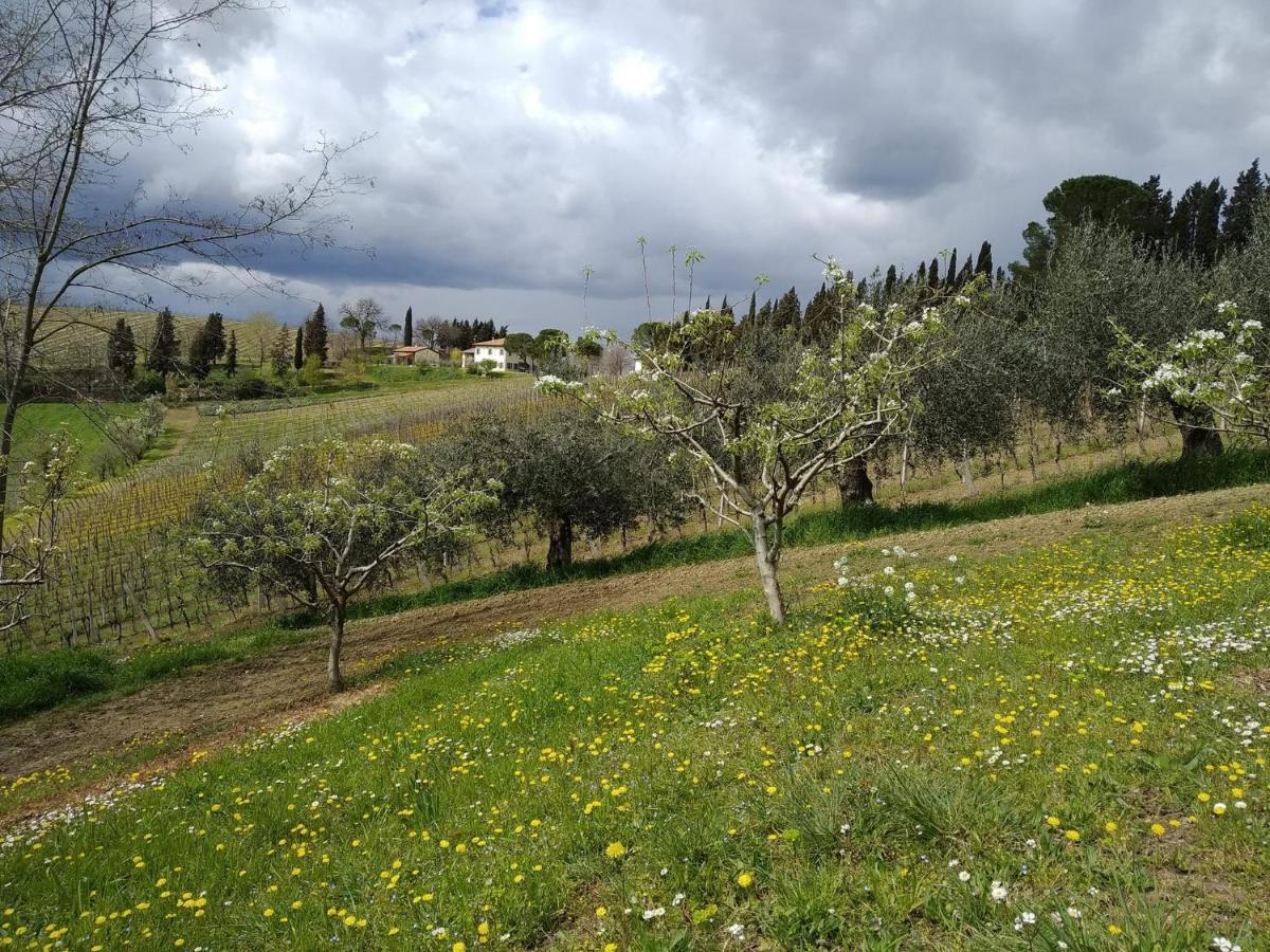 Agriturismo Ca'De'Gatti Фаенца Екстер'єр фото