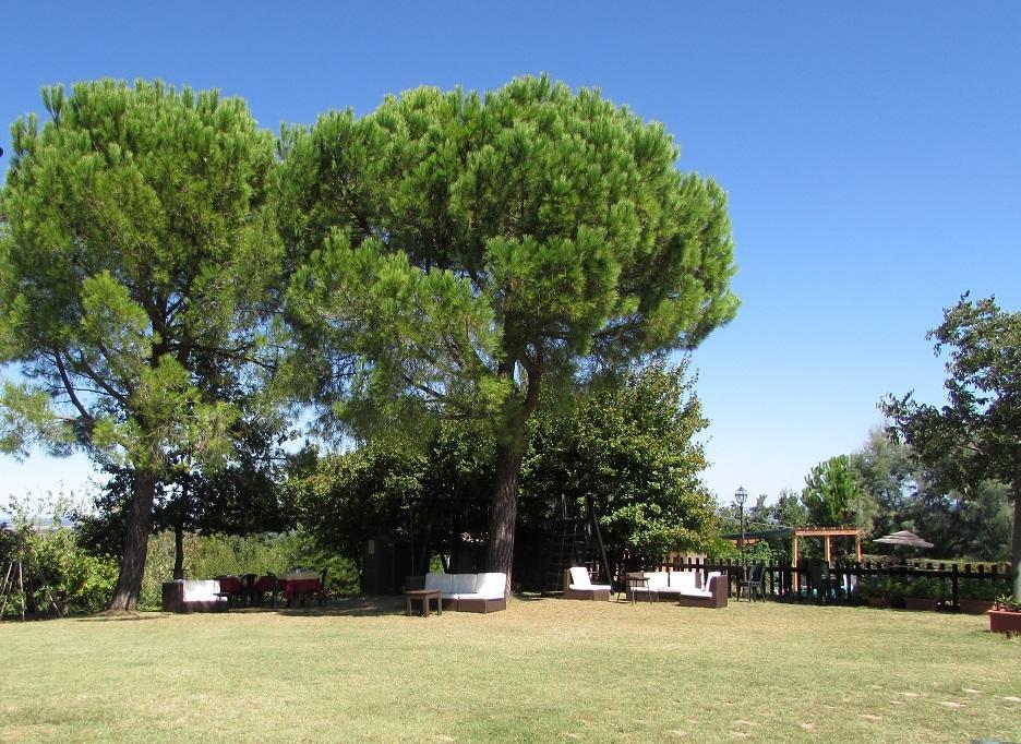 Agriturismo Ca'De'Gatti Фаенца Екстер'єр фото
