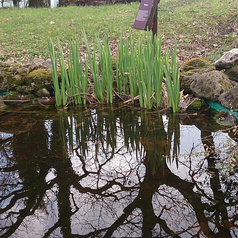 Agriturismo Ca'De'Gatti Фаенца Екстер'єр фото