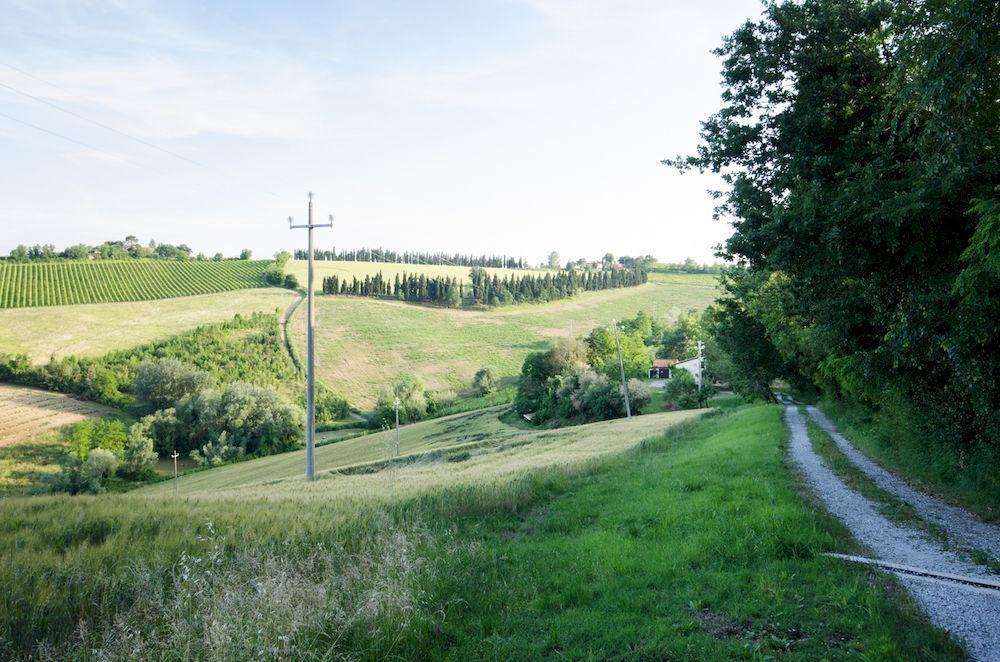 Agriturismo Ca'De'Gatti Фаенца Екстер'єр фото